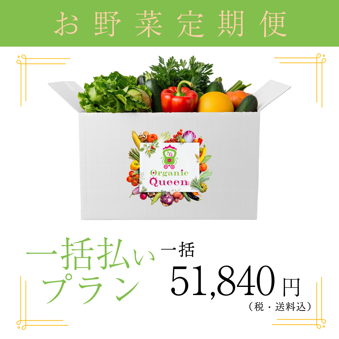 一括払いプラン【12月開始】