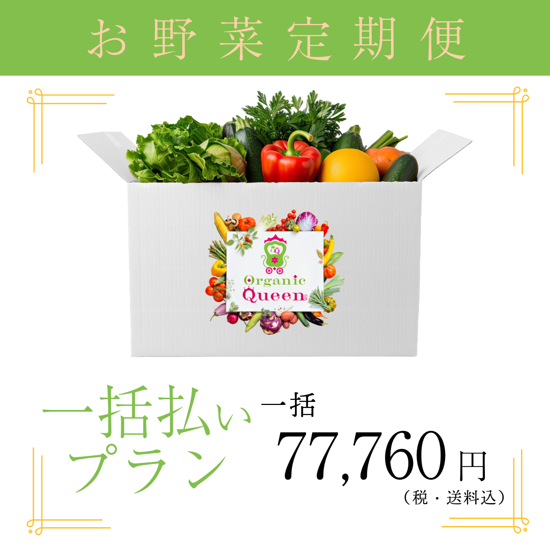 一括払いプラン【10月開始】