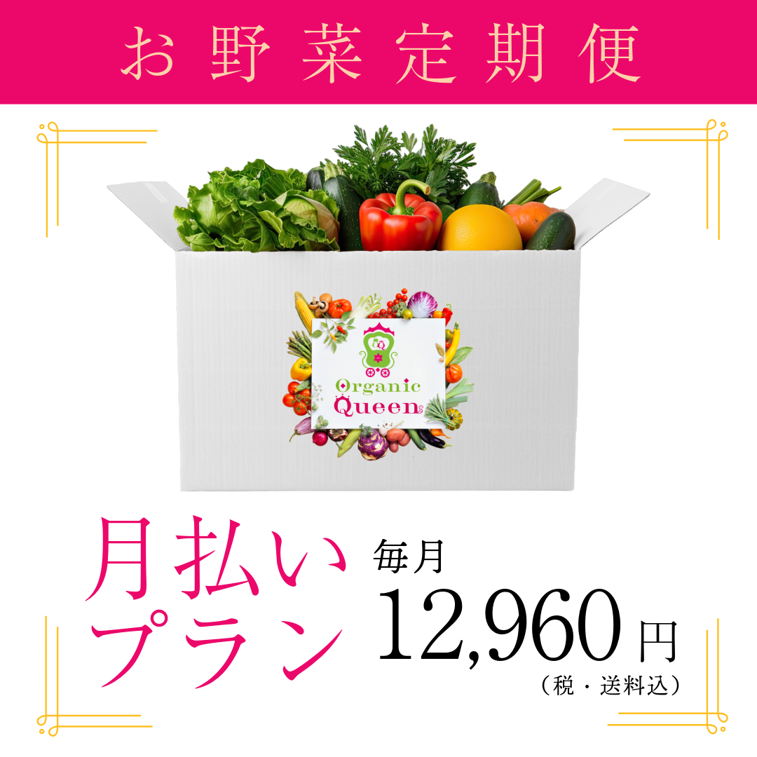 月払いプラン