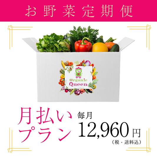 月払いプラン